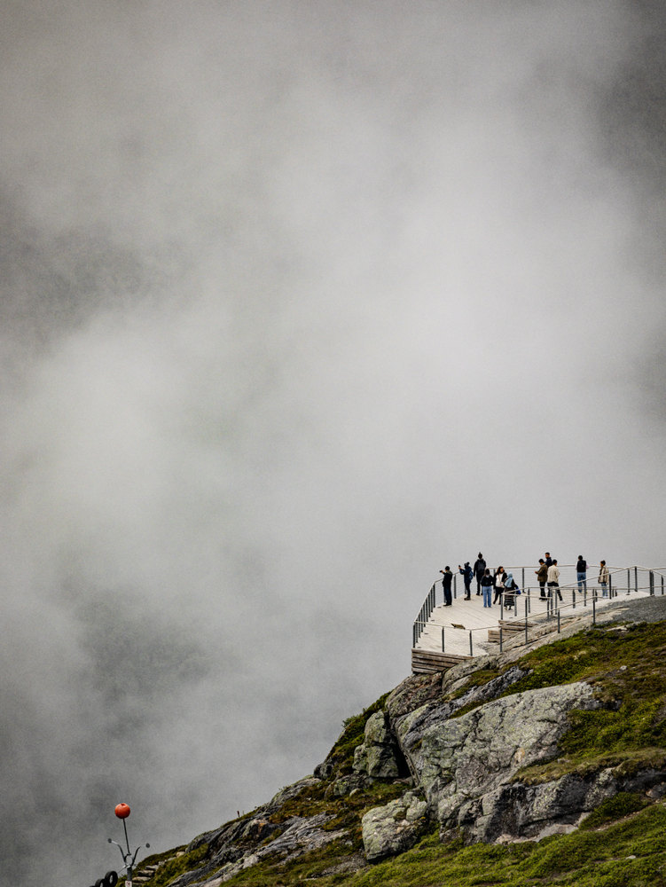 Photograph by Jake Cella, 2024-07-02