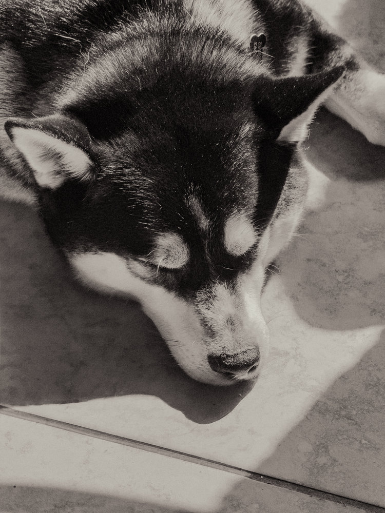 Photograph by Jake Cella, 2025-06-24