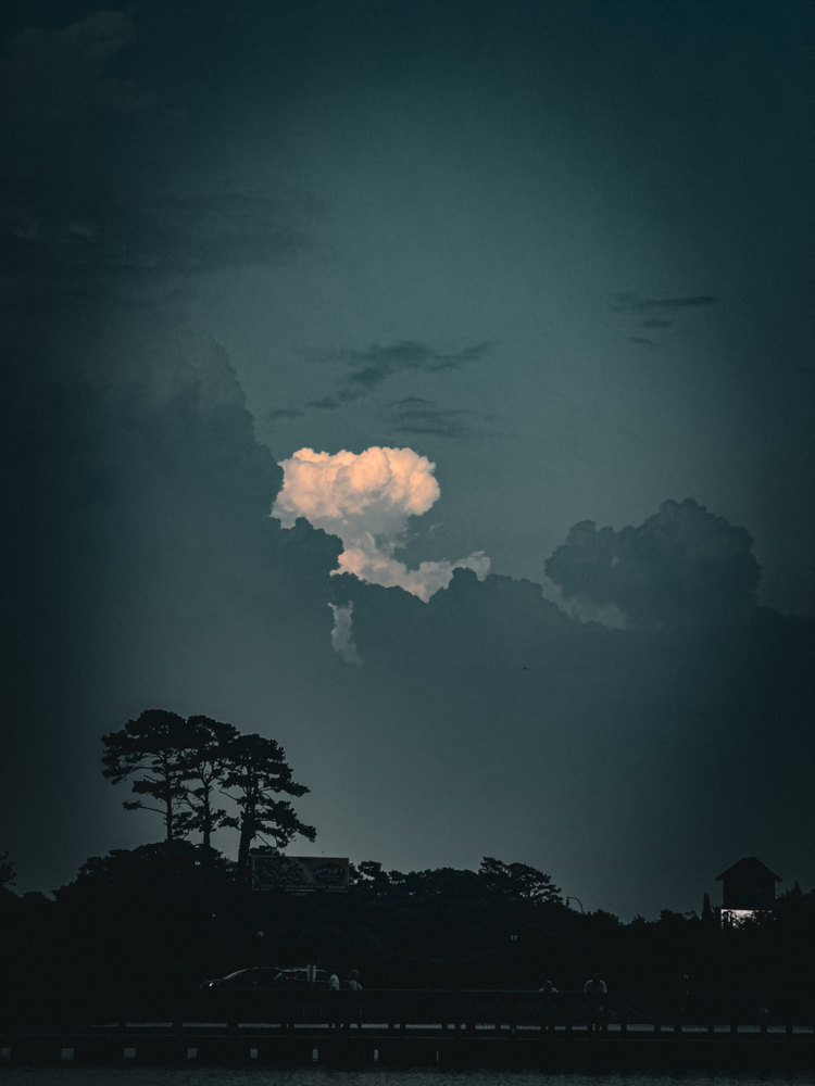 Photograph by Jake Cella, 2025-06-25