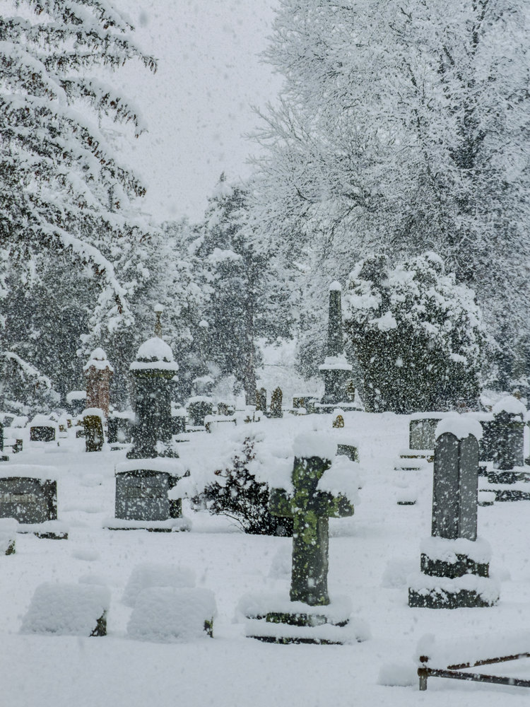 Photograph by Jake Cella, 2025-12-14