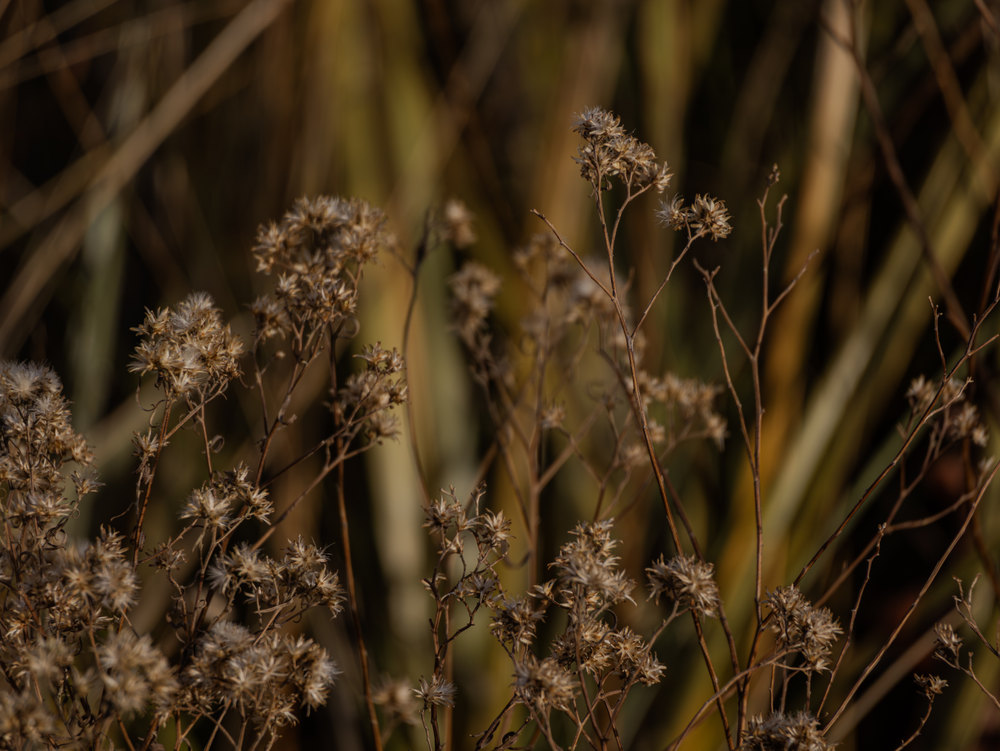 Photograph by Jake Cella, 2025-12-25