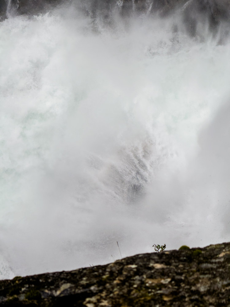 Photograph by Jake Cella, 2024-07-02