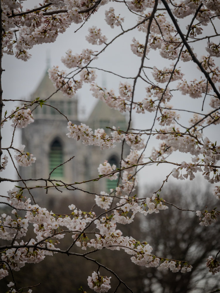 Photograph by Jake Cella, 2025-04-05