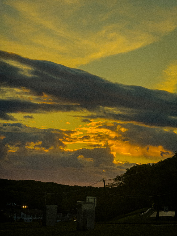 Photograph by Jake Cella, 2025-05-26