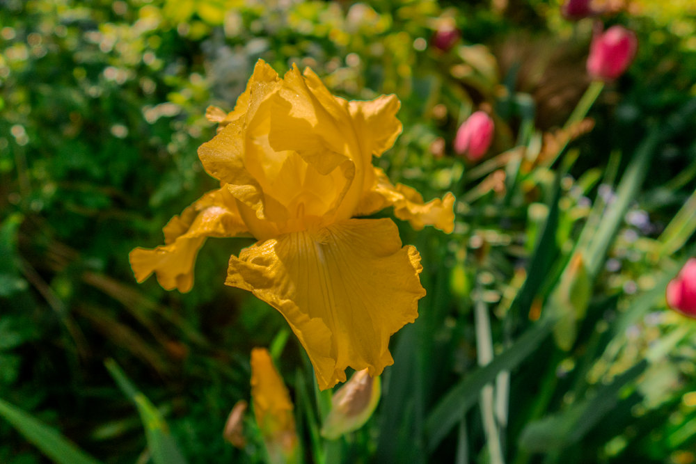 Photograph by Jake Cella, 2026-05-10