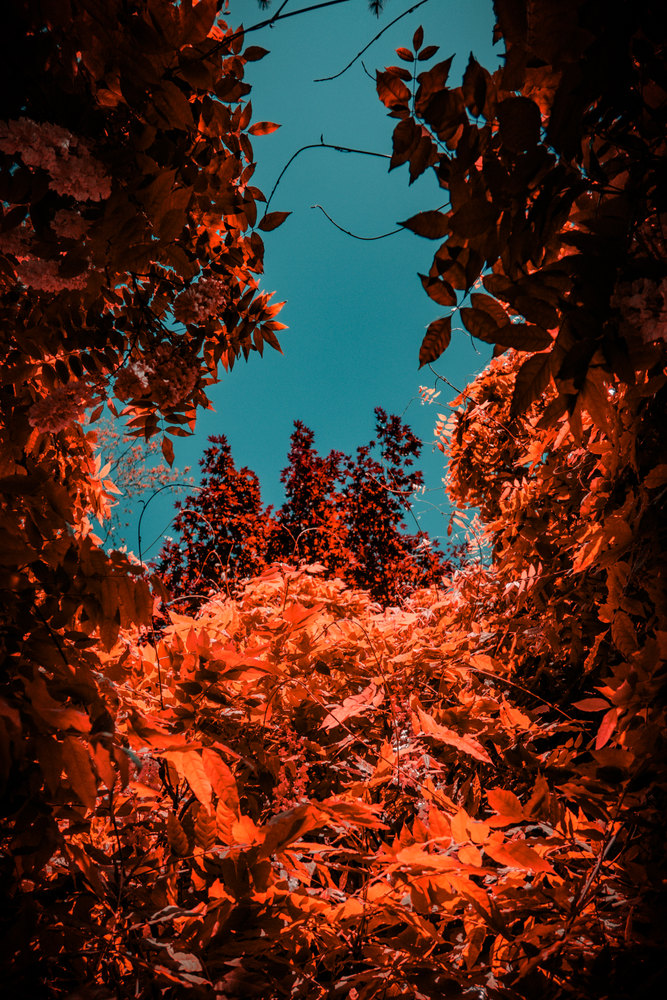 Photograph by Jake Cella, 2026-05-10