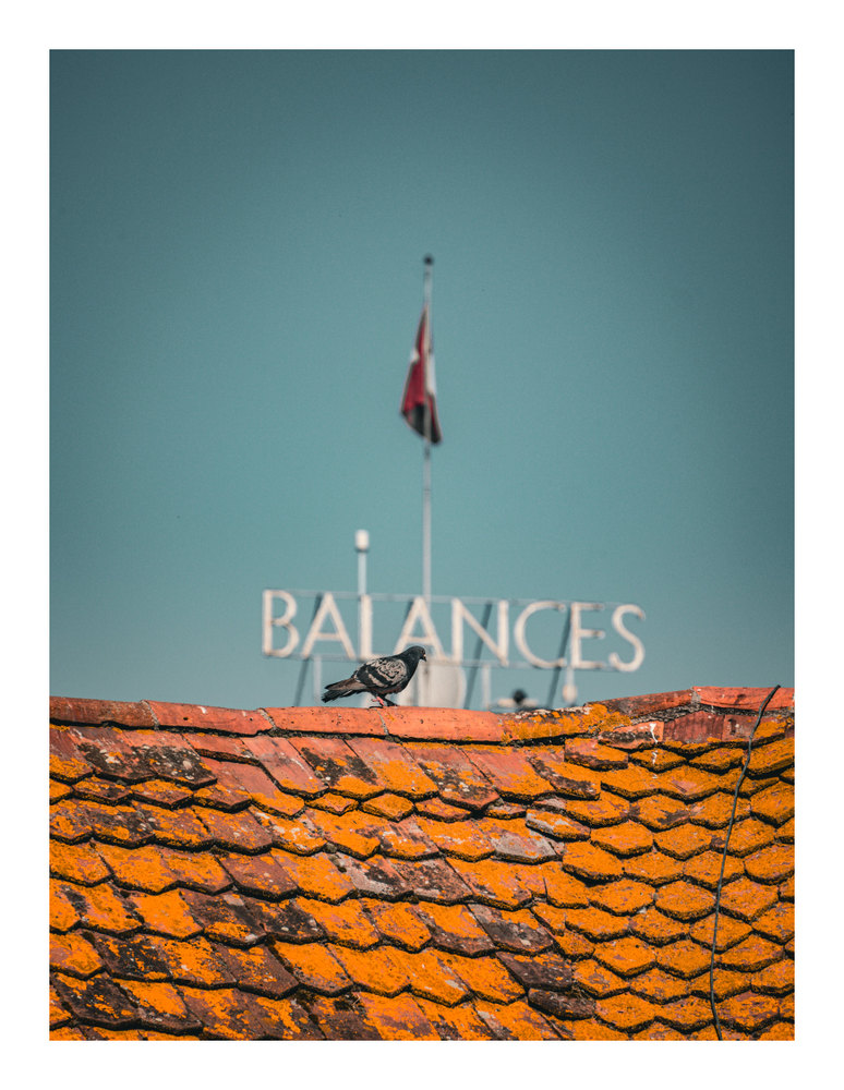 Photograph by Jake Cella, 2026-06-27