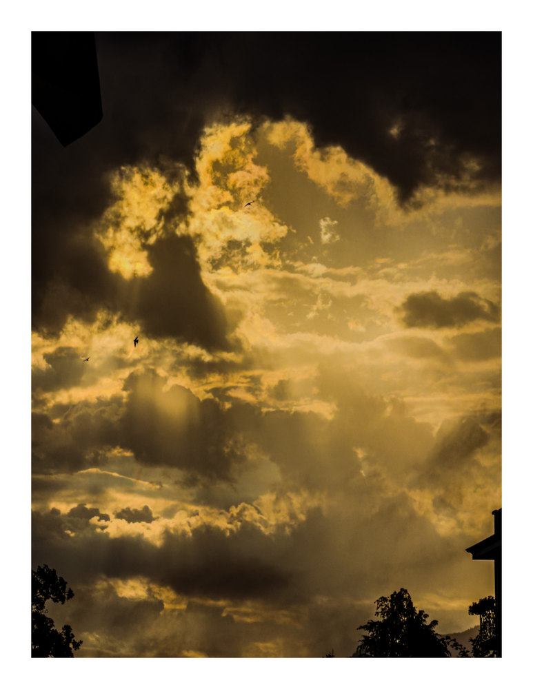 Photograph by Jake Cella, 2026-06-28