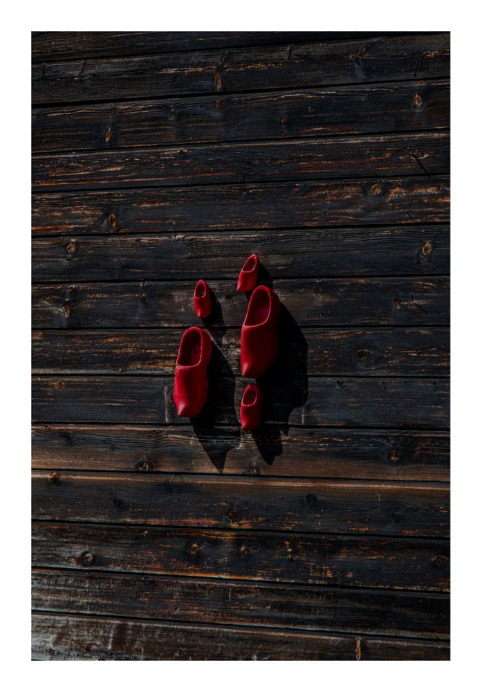Photograph by Jake Cella, 2026-06-29