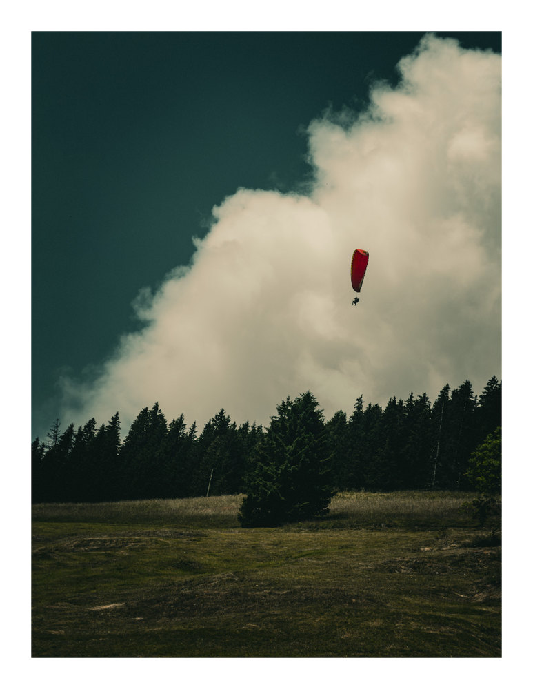 Photograph by Jake Cella, 2026-06-29