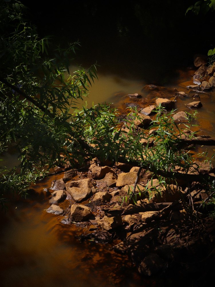 Photograph by Jake Cella, 2024-06-18