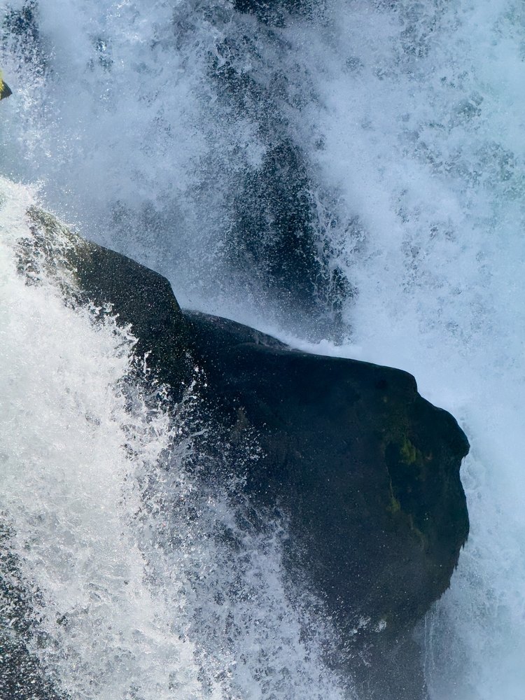 Photograph by Jake Cella, 2024-07-01
