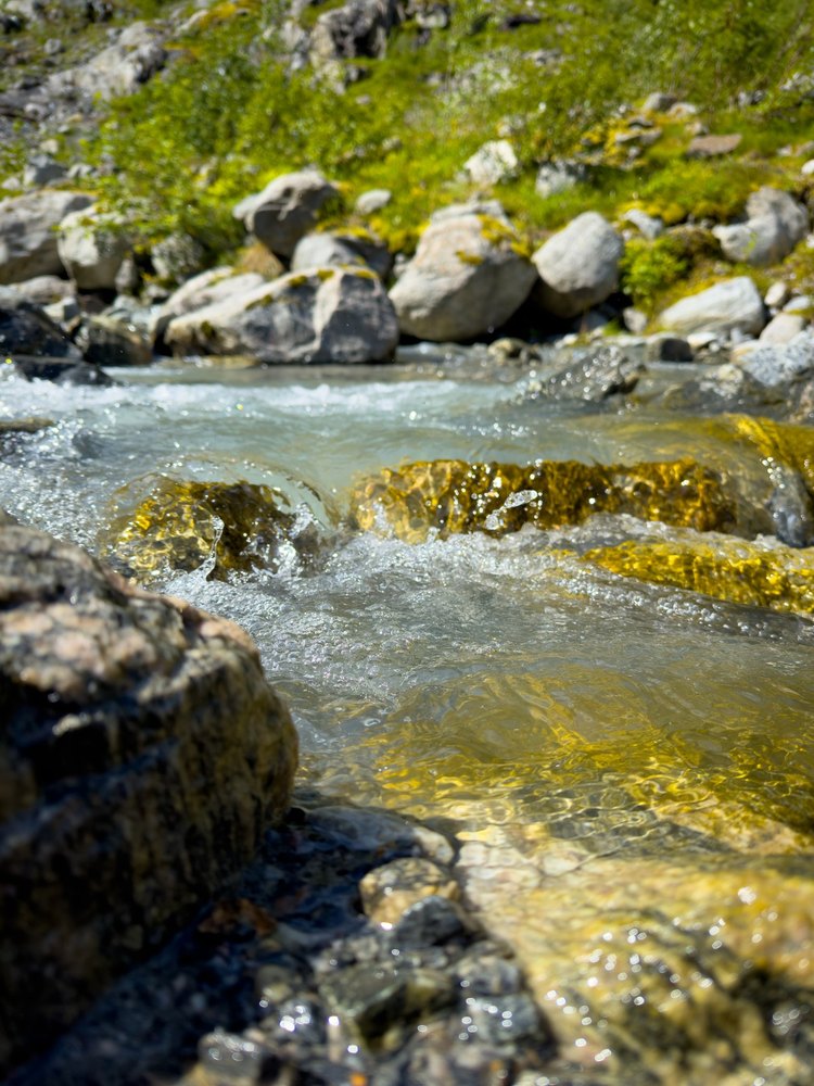 Photograph by Jake Cella, 2024-07-03