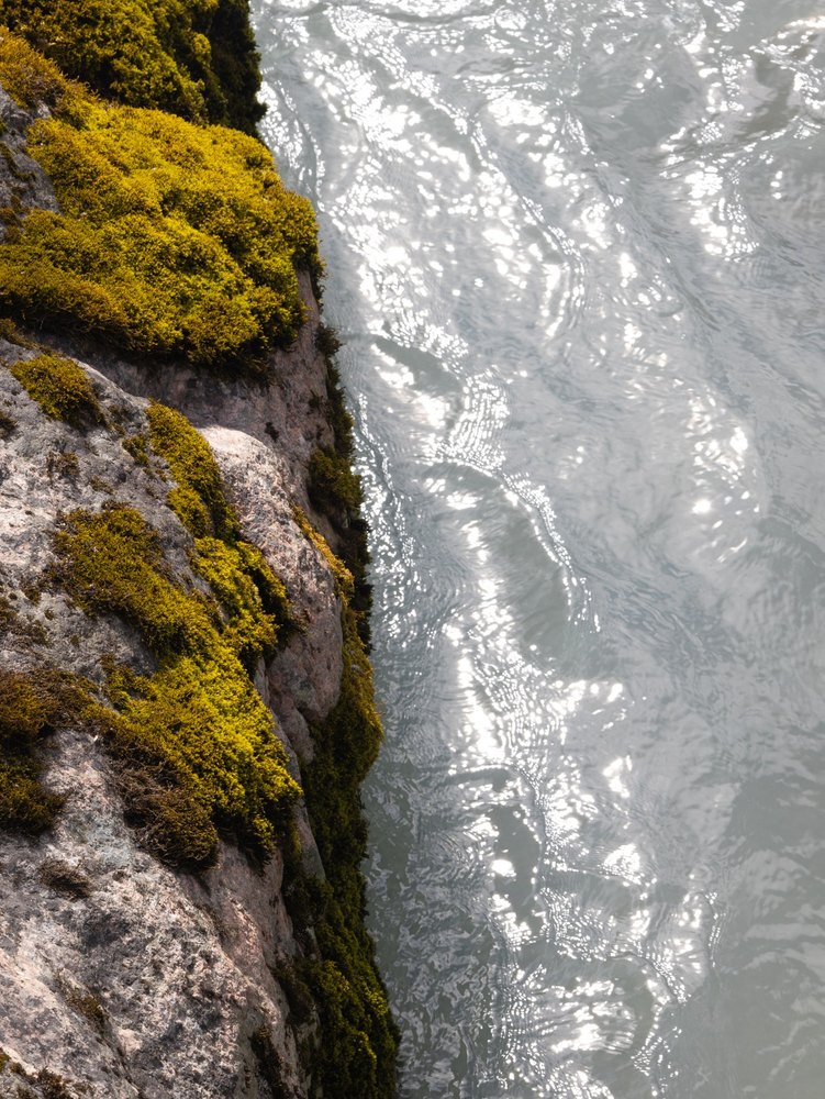Photograph by Jake Cella, 2024-07-03