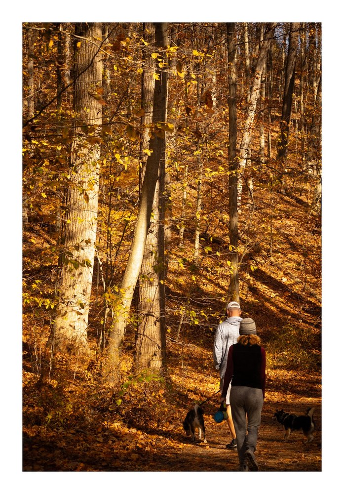 Photograph by Jake Cella, 2024-10-26