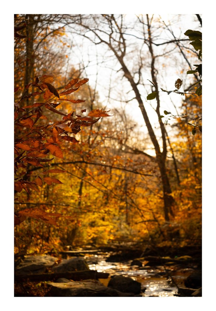 Photograph by Jake Cella, 2024-10-26