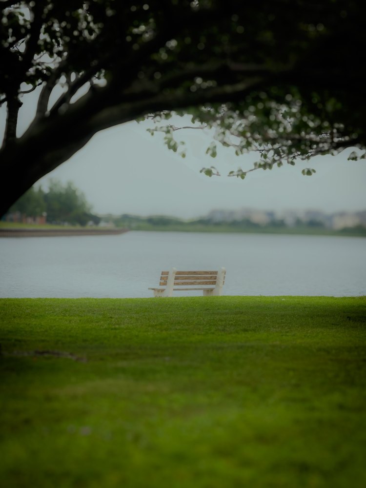 Photograph by Jake Cella, 2025-08-05