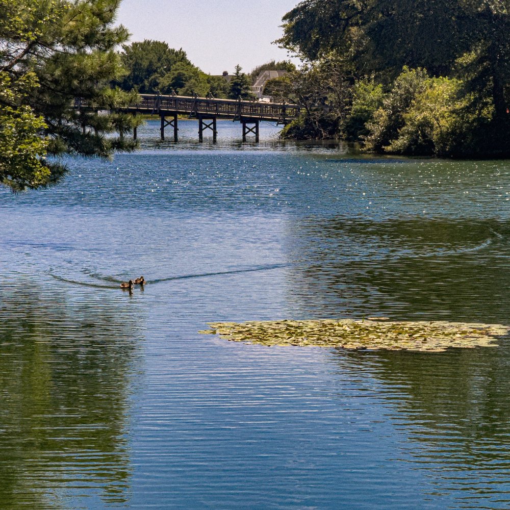 Photograph by Jake Cella, 2025-08-09