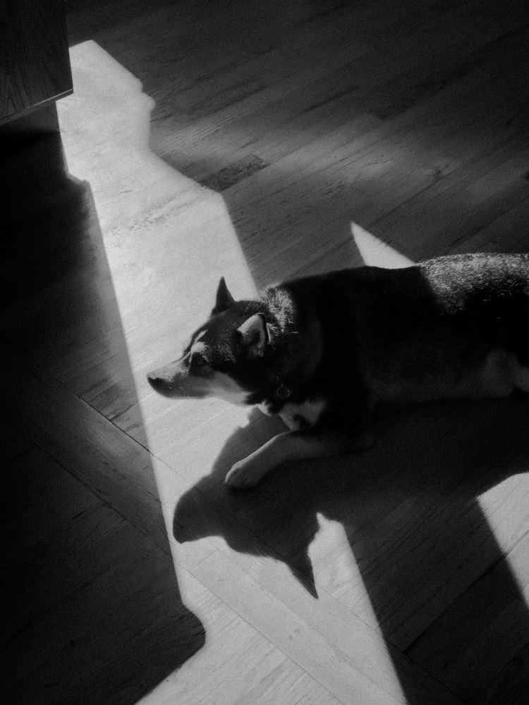 Photograph by Jake Cella, 2025-09-26