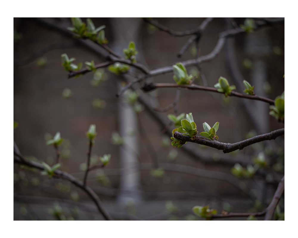 Photograph by Jake Cella, 2026-04-04