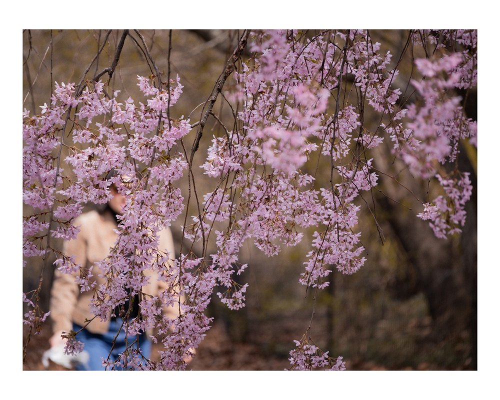 Photograph by Jake Cella, 2026-04-04