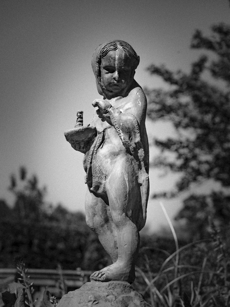 Photograph by Jake Cella, 2026-05-10