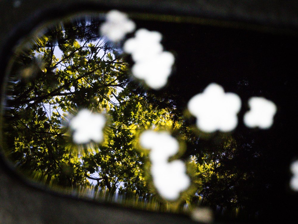 Photograph by Jake Cella, 2026-05-10