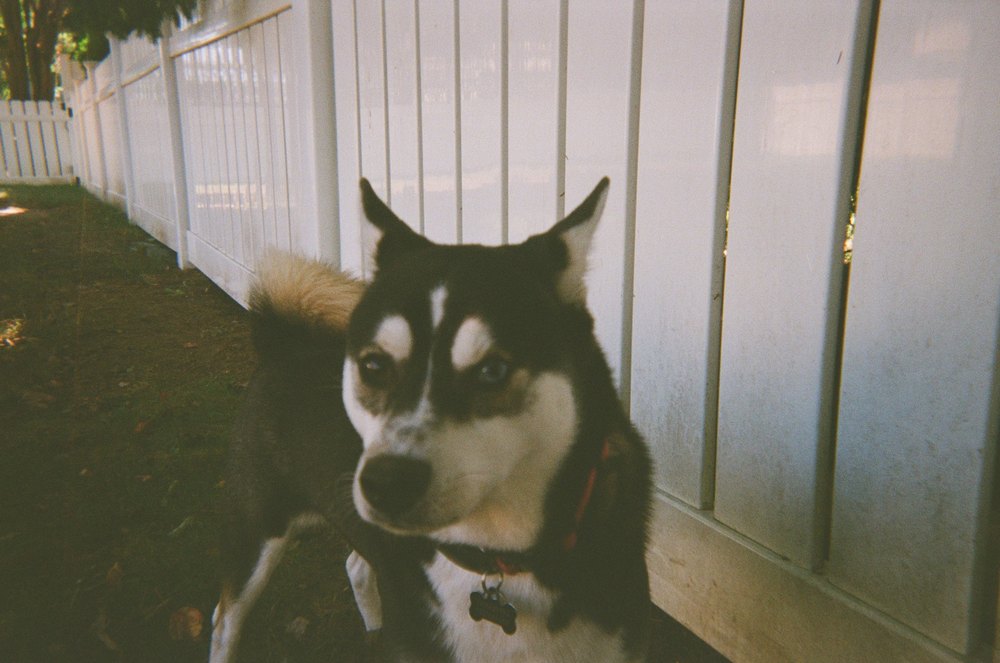 Photograph by Jake Cella