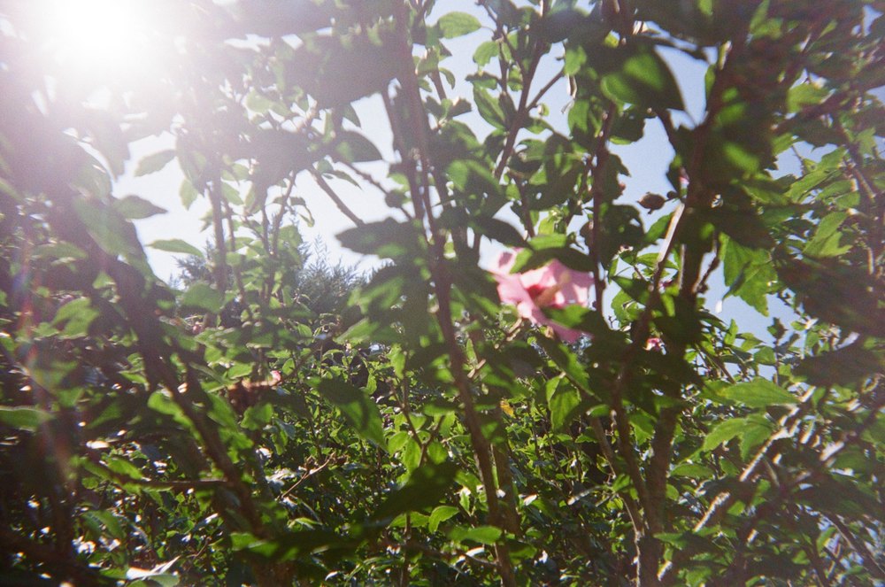 Photograph by Jake Cella