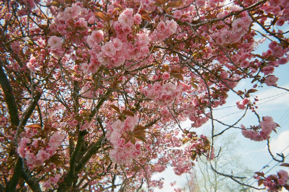 Photograph by Jake Cella